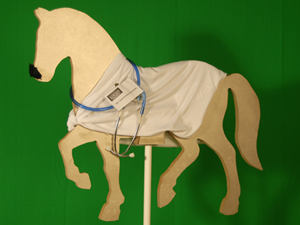 Dr. Giddy Up Good Horse