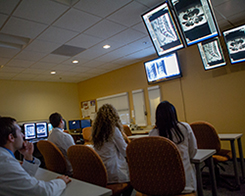 Why Chiropractic? Why Logan University? Why Chiropractic? Why Logan University?