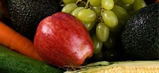 Masters of Science in Nutrition and Human Performance