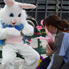 Hare in the Air at Logan College of Chiropractic/University Programs