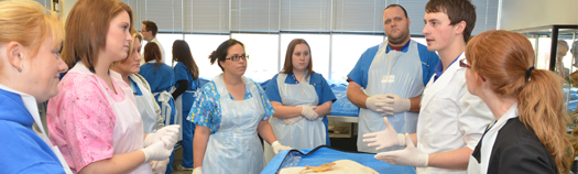 Logan College of Chiropractic 