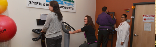 Olympic Chiropractic Training