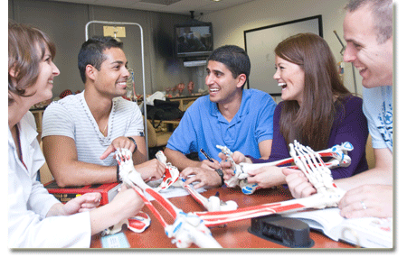 Students studying anatomy models in one of two group study rooms.