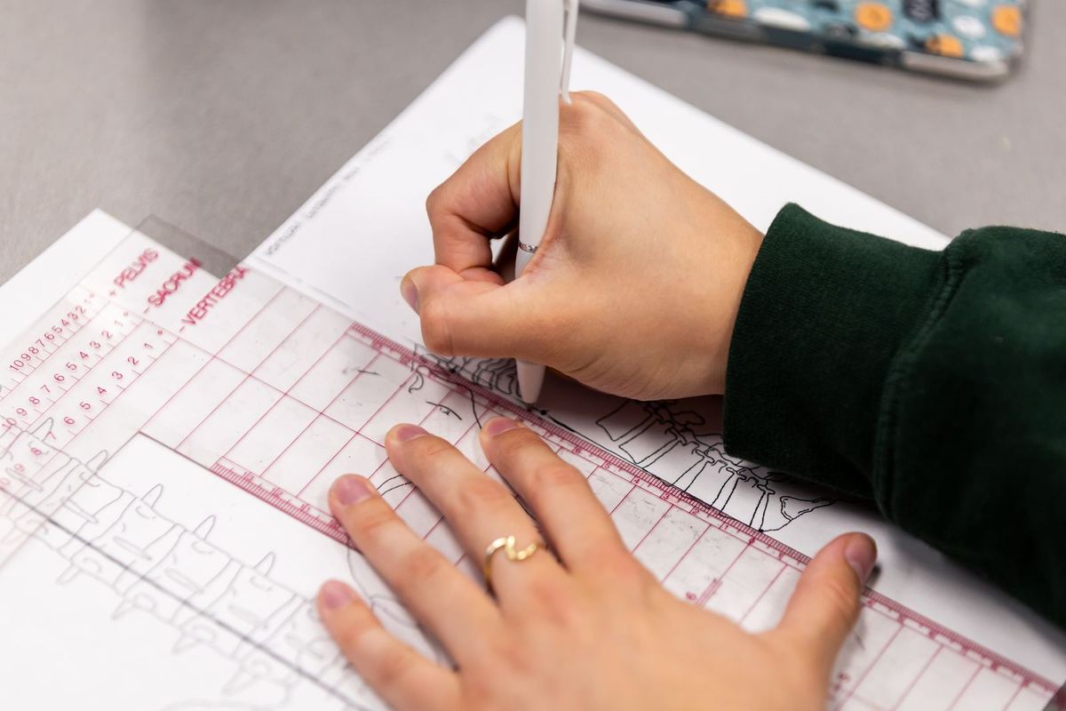 A student marking a spinal line analysis by hand during an in-person course