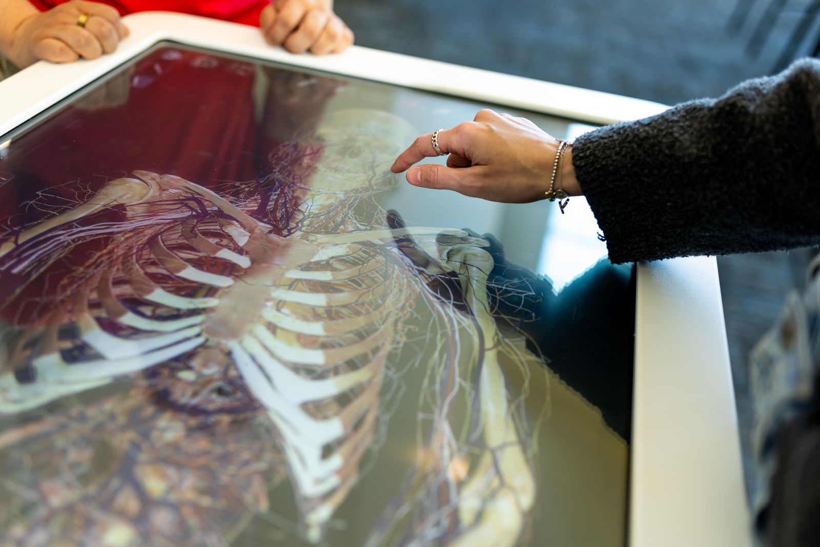 Students study a life-size digital anatomy table, pointing at a 3D view of the rib cage and vasculature.