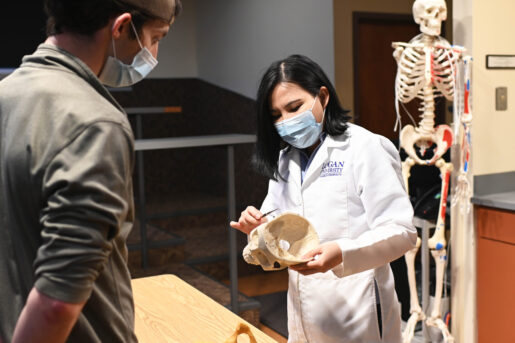 Assistant Professor & Doctor of Health Professions Education student Dr. Yuan Gao shows a skull to a student in Logan University's anatomy lab
