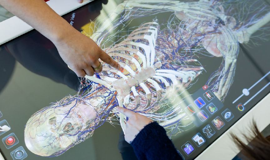 Students exploring a 3D anatomy table in a Logan University lab