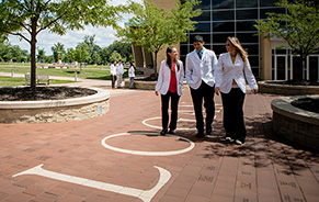 Forever Chiropractic, Forever Logan