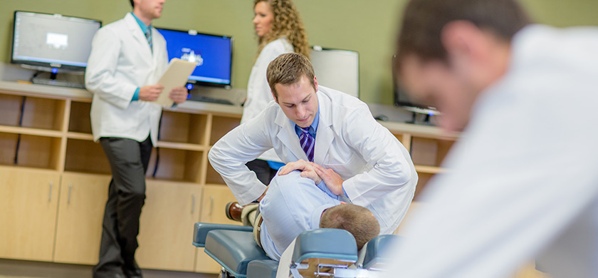 doctor of chiropractic curriculum logan university