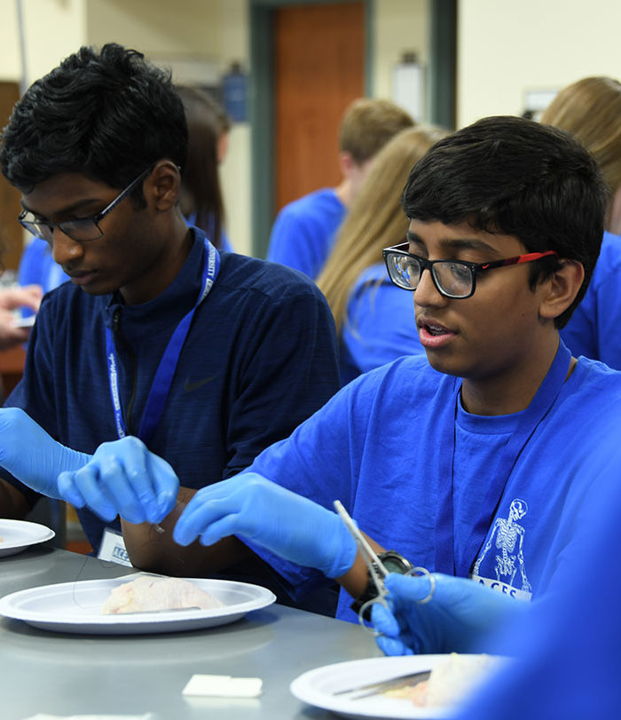 ACES students working in a lab.