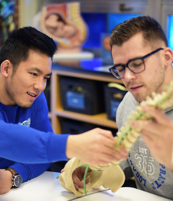 Two students studying anatomy.