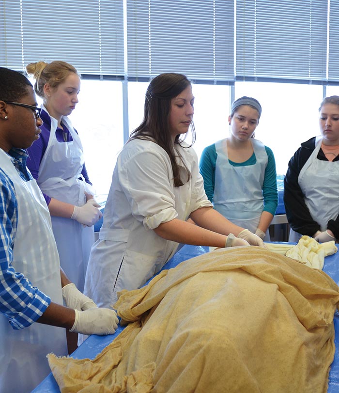Students working in cadaver lab.
