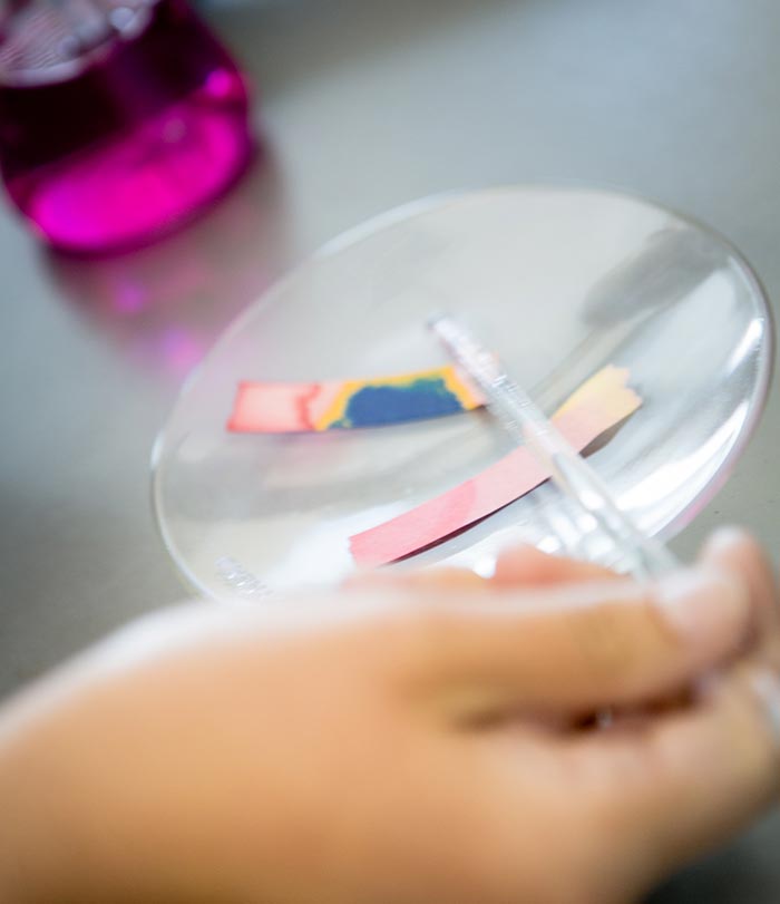 Close up of student working in science lab.