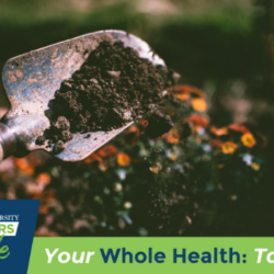 A hand shovel scoops up dirt in the garden